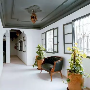 Green ceiling emphasizes the natural character of the interior