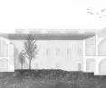 section
