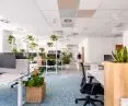 The interior of the office is filled with more than 200 plants