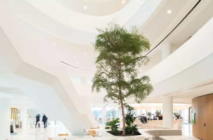 Nowa siedziba główna BNP Paribas Fortis przy Montagne du Parc w Brukseli