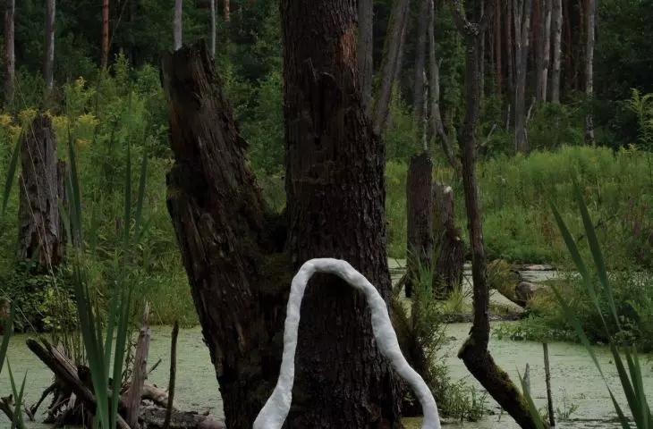 Indicating Water