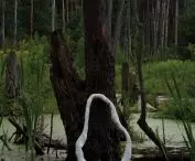 Indicating Water