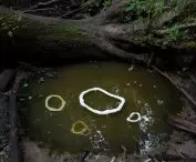 Indicating Water