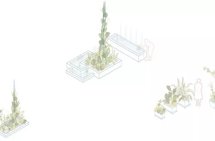 Reconstruction of the Green Room - basin with plants and water