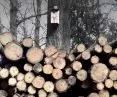co dalej z Zielonym Ładem i europejską polityką klimatyczną?