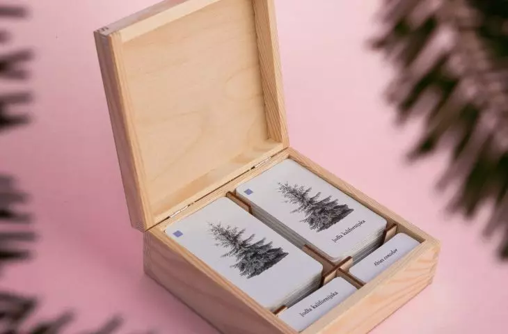 pomoc do nauki nazw drzew i krzewów dla kierunków florystycznych