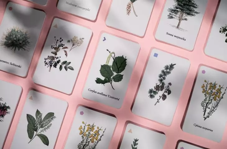 pomoc do nauki nazw drzew i krzewów dla kierunków florystycznych