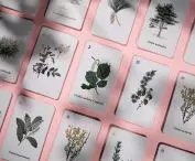 An aid to learning the names of trees and shrubs for floriculture majors