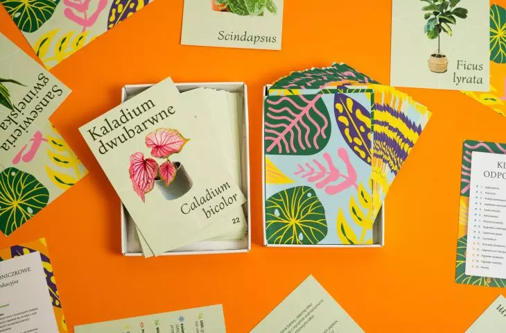 An aid to learning the names of potted flowers for floristry majors