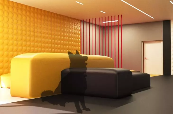 dogs