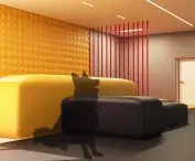 dogs