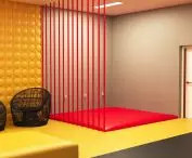 psy