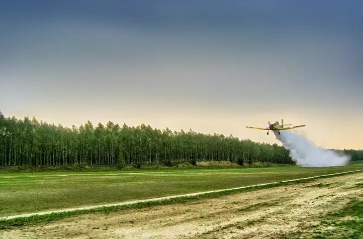   krata lotniskowa, lądowisko leśne Annowo