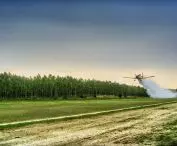   airport grating, Annowo forest airstrip