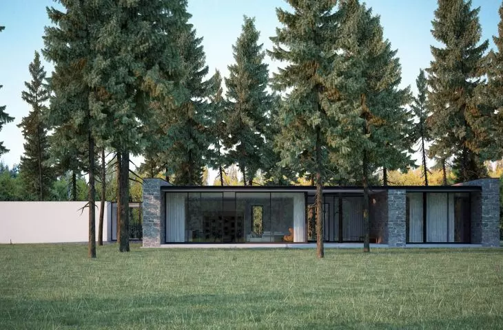 Villa Forest (visualizations of the project)