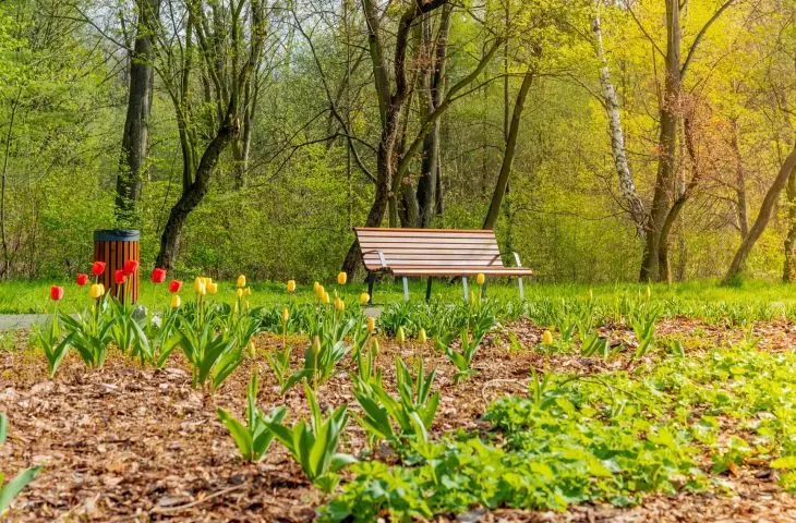Silesian Park Chorzów