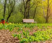 Silesian Park Chorzów