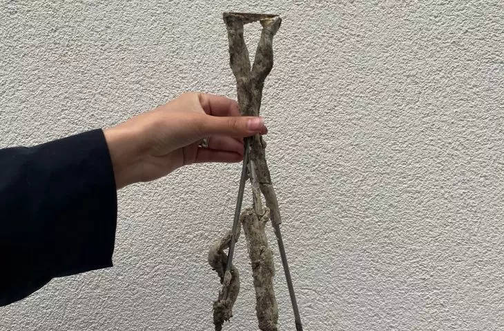 projekt „Herbarium