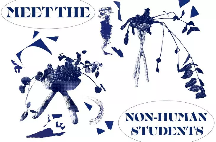 projekt „Herbarium