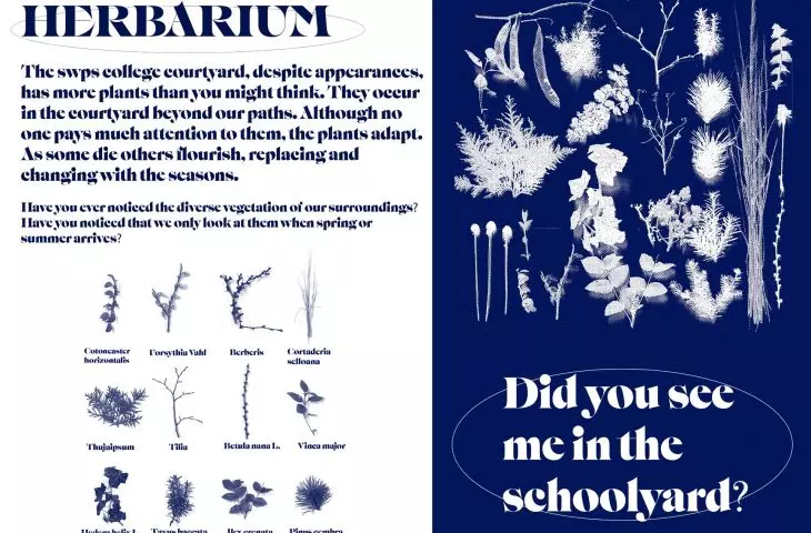 projekt „Herbarium