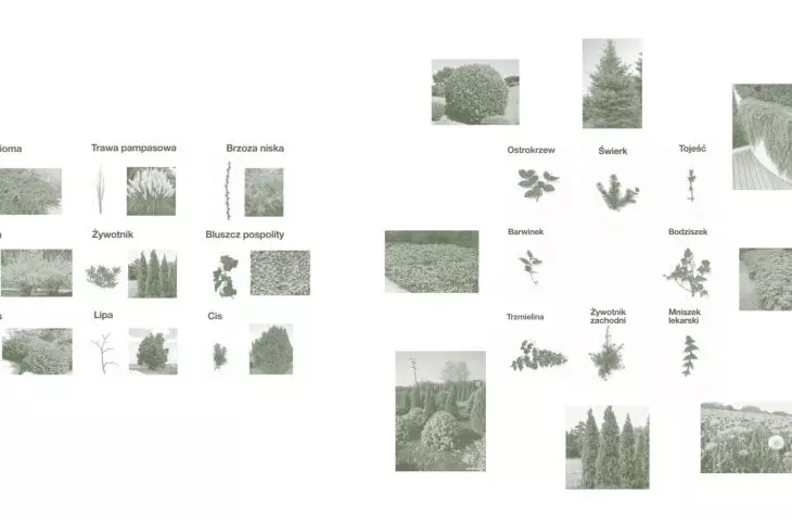 projekt „Herbarium