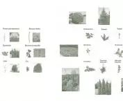 projekt „Herbarium