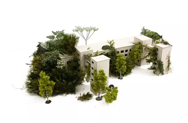  projekt „Herbarium