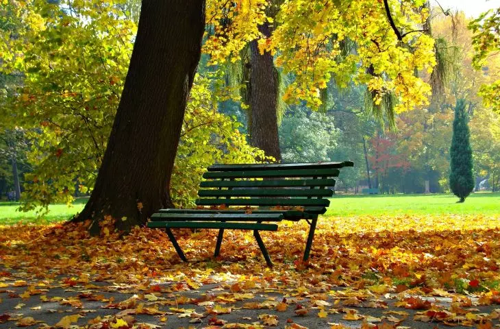 Cracow will create a Cracow city furniture catalog