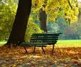 Cracow will create a Cracow city furniture catalog