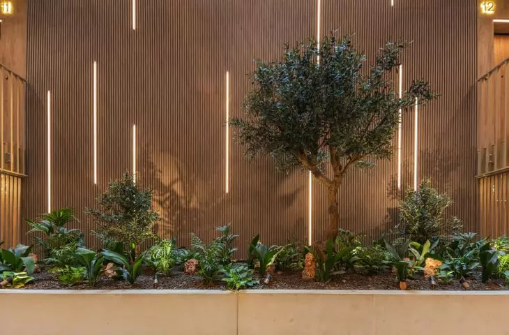 Midori House