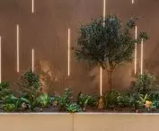 Midori House