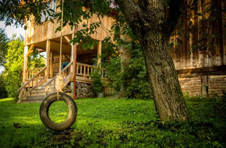 Ptasie Radio Brzozów - przydomowa huśtawka