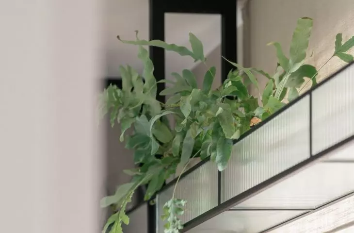 Green accents in the kitchen