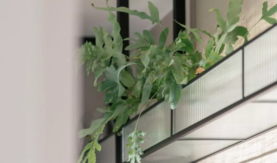 Green accents in the kitchen