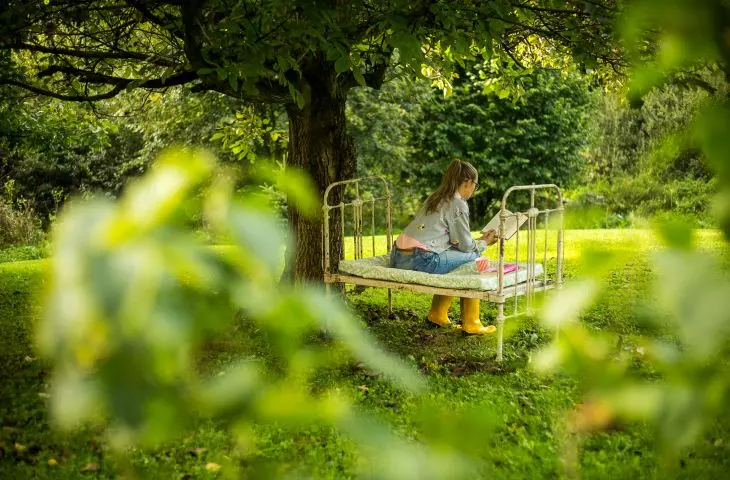Bird Radio Brzozow - bed under the tree