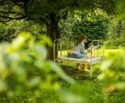 Bird Radio Brzozow - bed under the tree