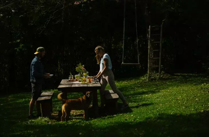 Bird Radio Brzozow - summer meal