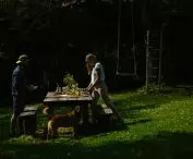 Bird Radio Brzozow - summer meal