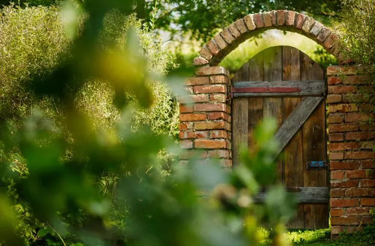 Ptasie Radio Brzozów 