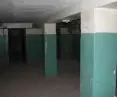 Many shelters in Poland do not meet standards