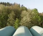Zubitegi Park w Malabii
