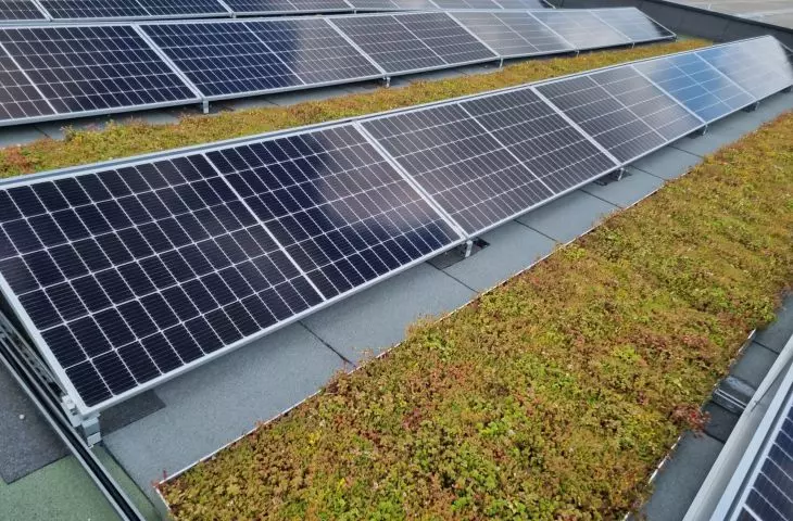 Zazielenienie dachu solarnego po instalacji paneli fotowoltaicznych