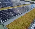 Greening of solar roof after installation of photovoltaic panels