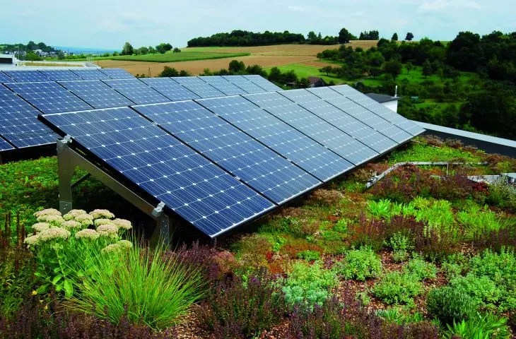 Dach Biosolarny