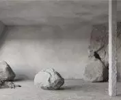 visualization