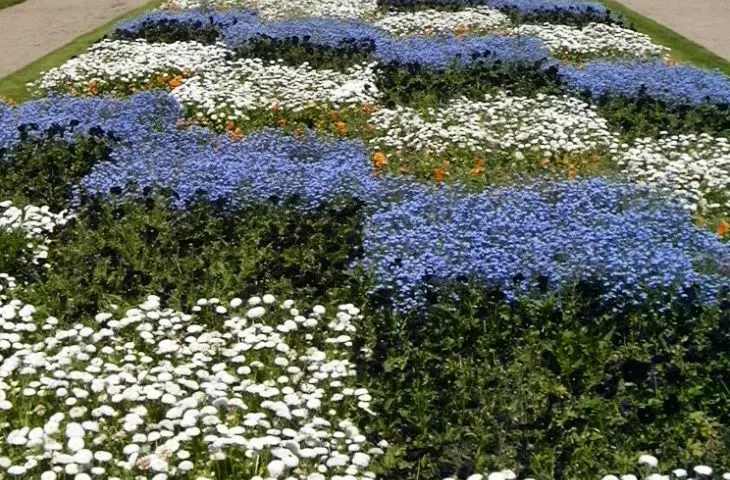 Geometric garden in traditional and formal style, Tours, France