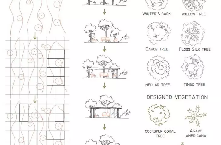 concept, tree legend