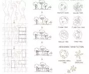 concept, tree legend
