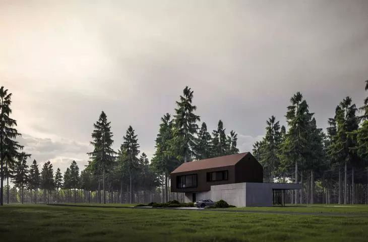 Twisted House is a project of a single-family building surrounded by forest