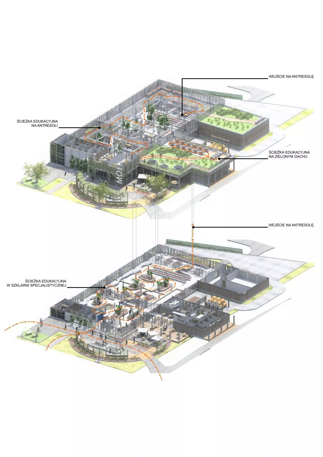 Plan ścieżki edukacyjnej Miejskiego Ośrodka Botanicznego